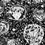 universo-curioso-lu-paternostro