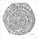 mandala-espiral-sonho-lu-paternostro