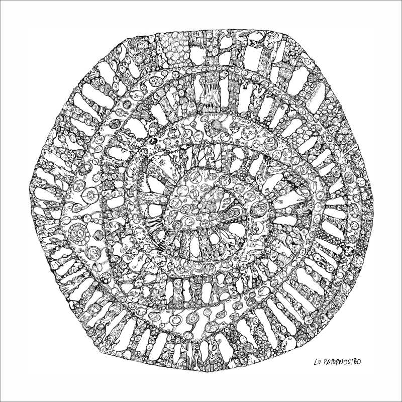 mandala-espiral-sonho-lu-paternostro